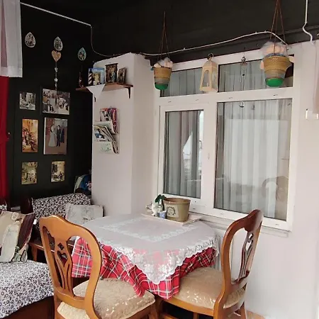 Nur Deniz Manzarali *